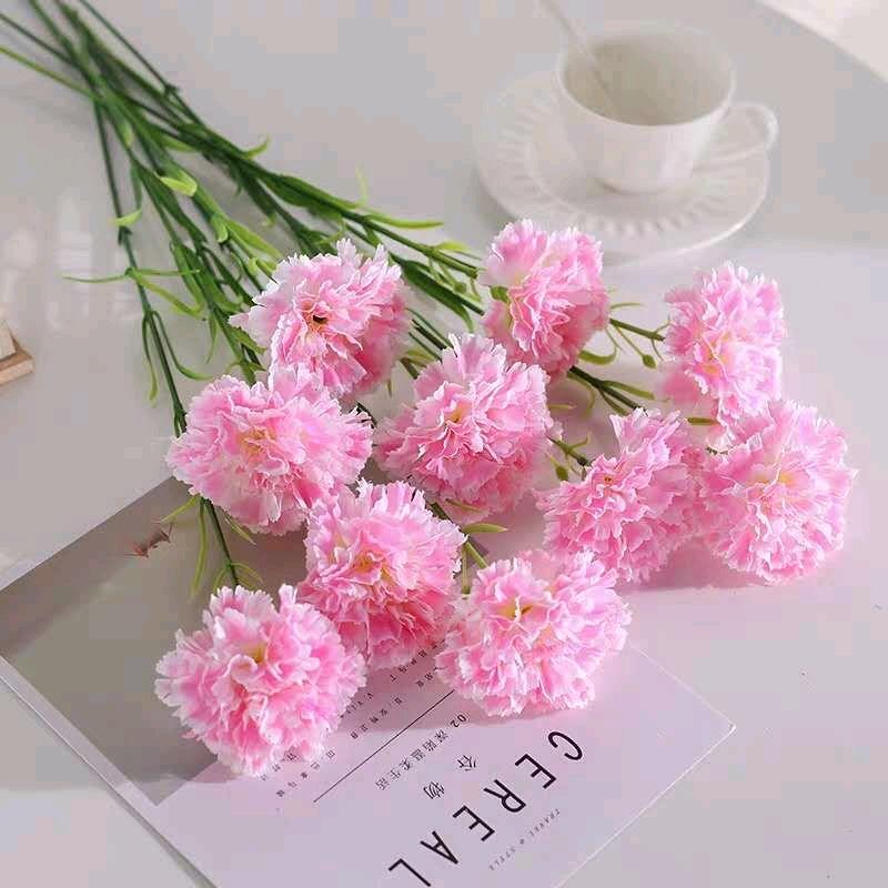 ꧁꫞客家二宝💞累了谁来疼꫞꧂