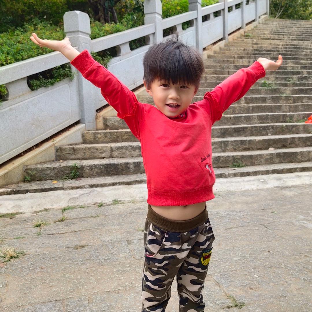 丛林中的小蝌蚪。