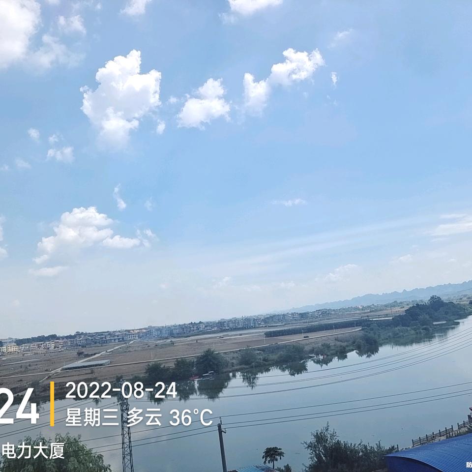 柠檬不酸