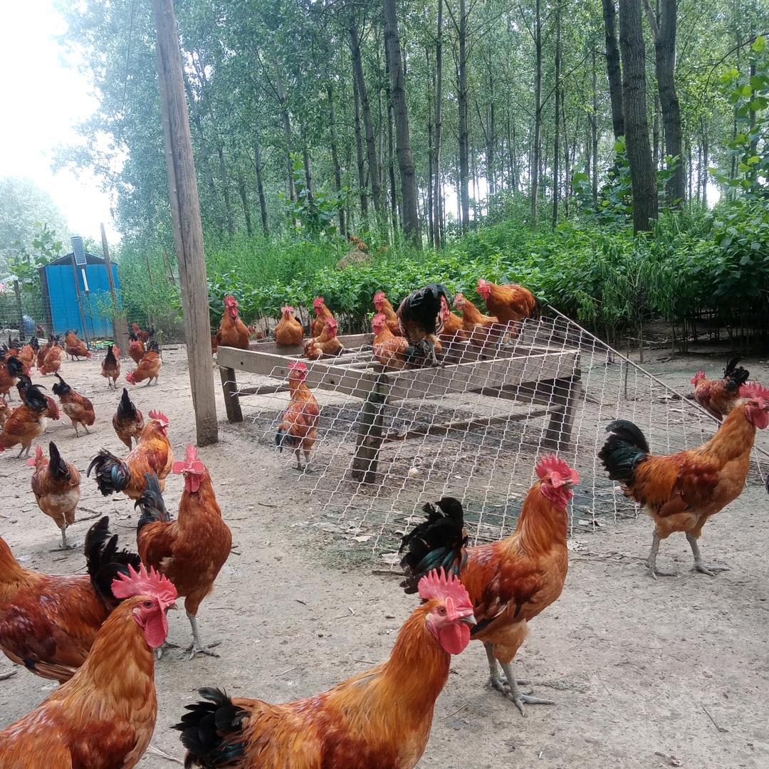 云升种养家庭农场