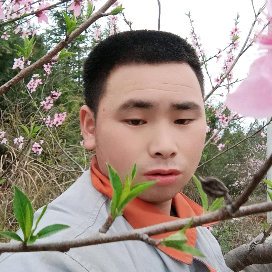 真命仙子