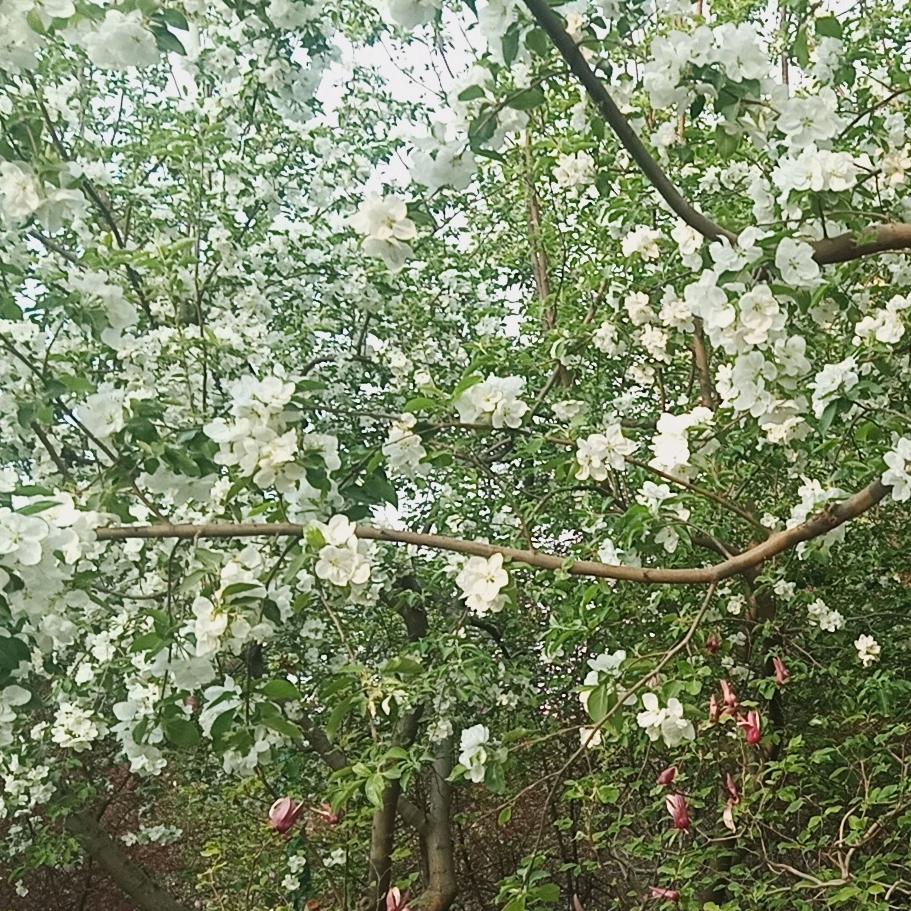 朋友们幸福快乐