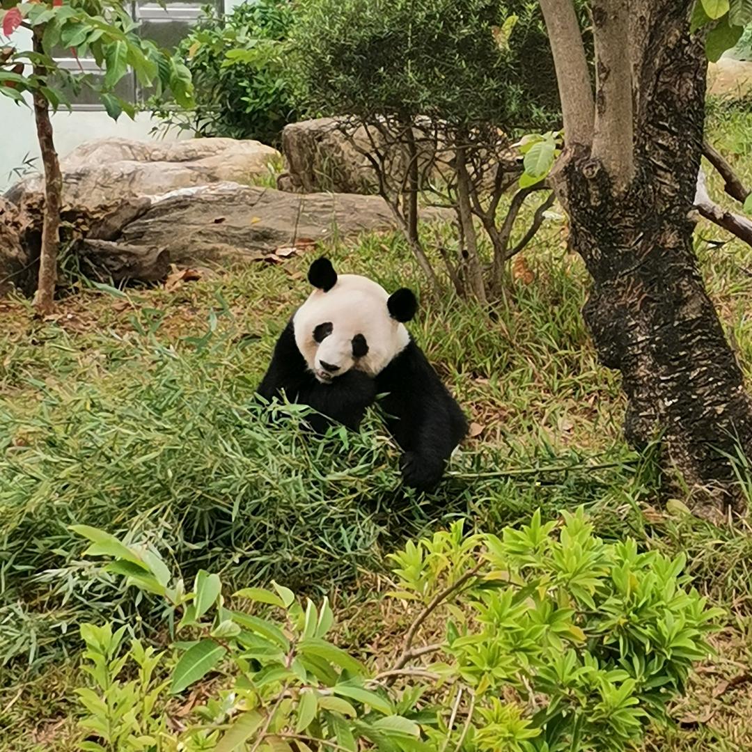 天选之人六亲缘浅