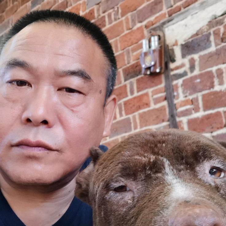犬只训练基地