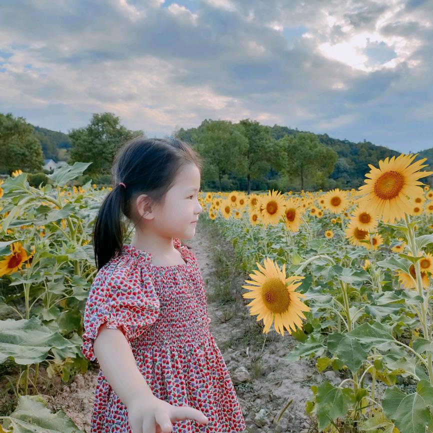不好不坏的小孟哥