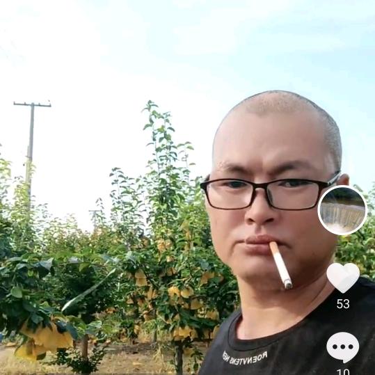 路过人间，别问为什么！