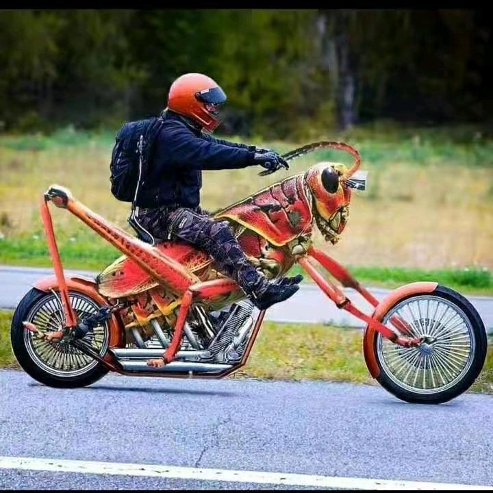 逆光。。奔跑！！