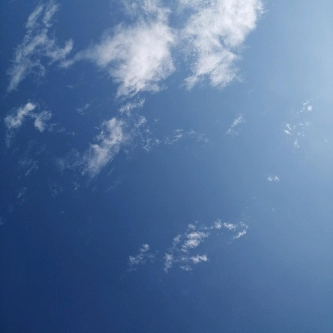 雯雯手写