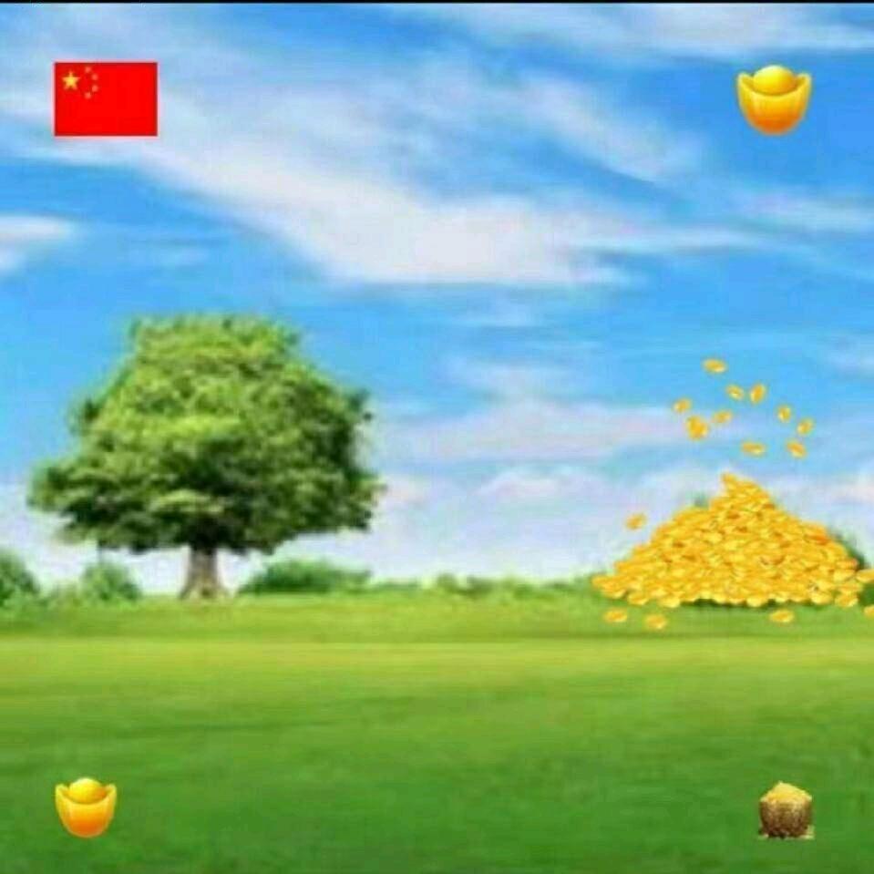 赵振选