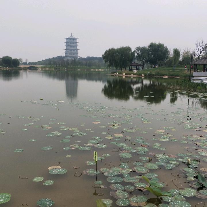 顺哥