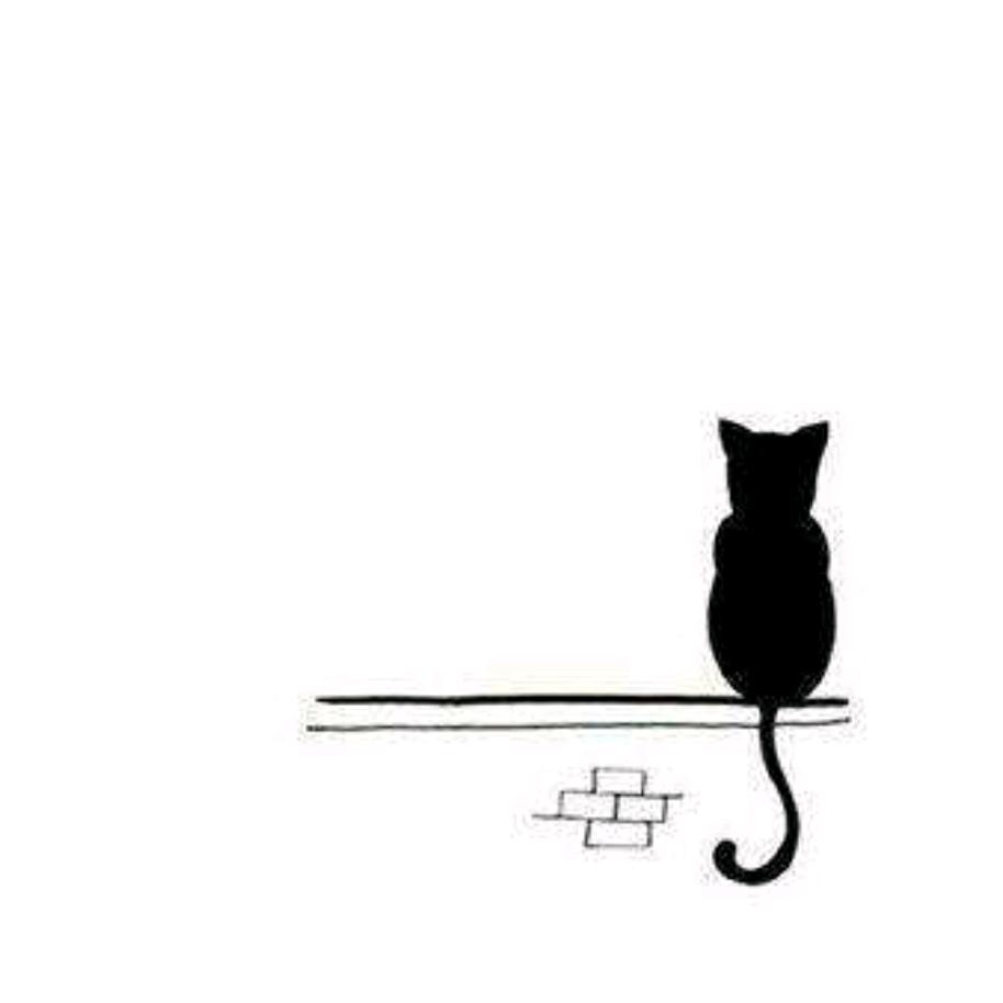 白底黑猫