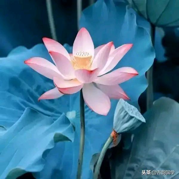 放宽心态笑一笑