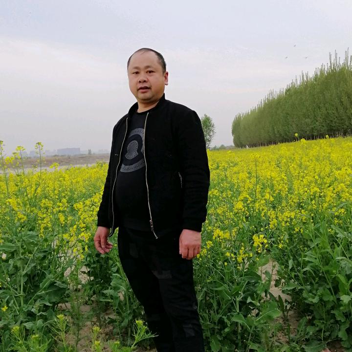 西安建筑劳务有限公司