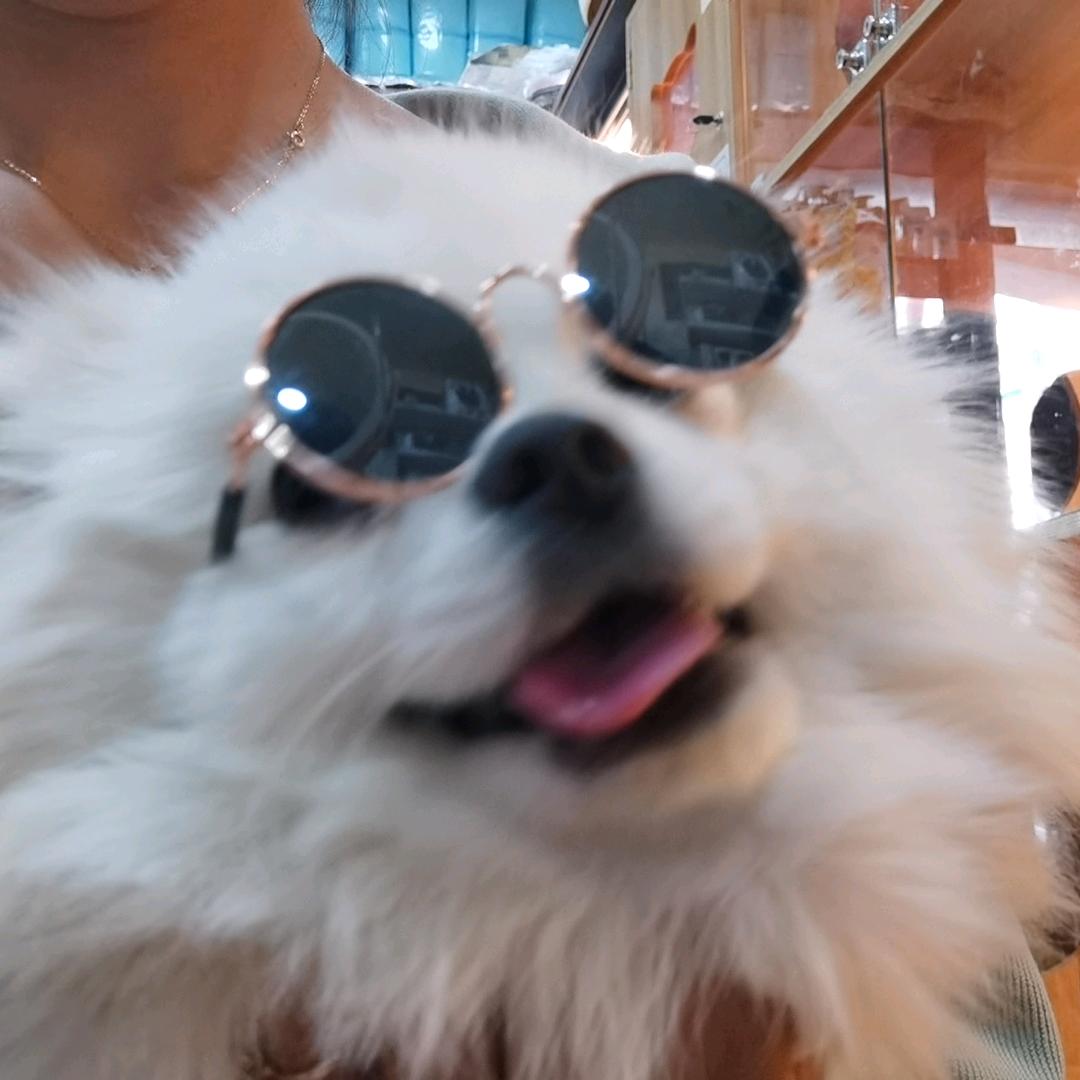 裘球是裘爱玩球