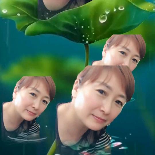 兰