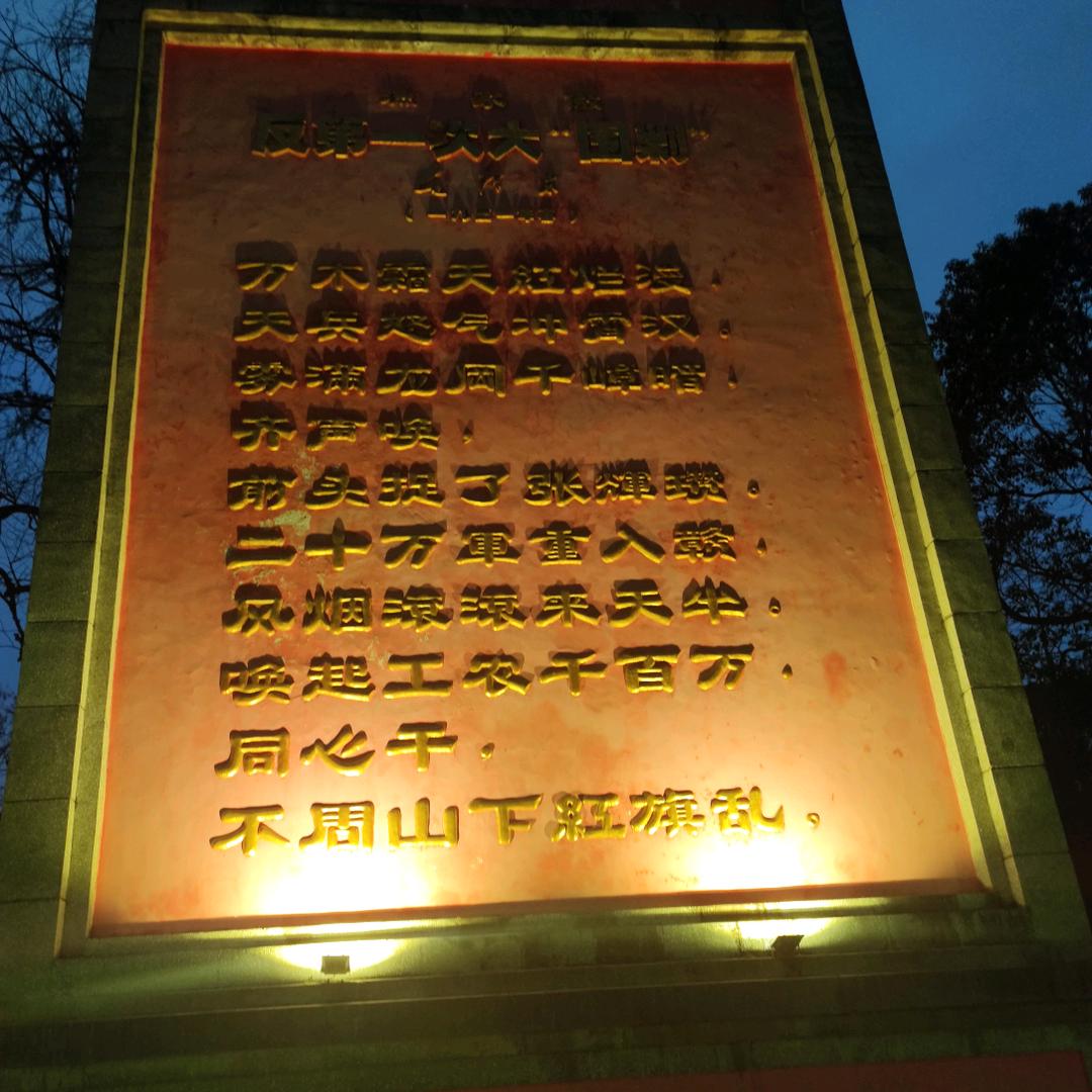 风中迷茫