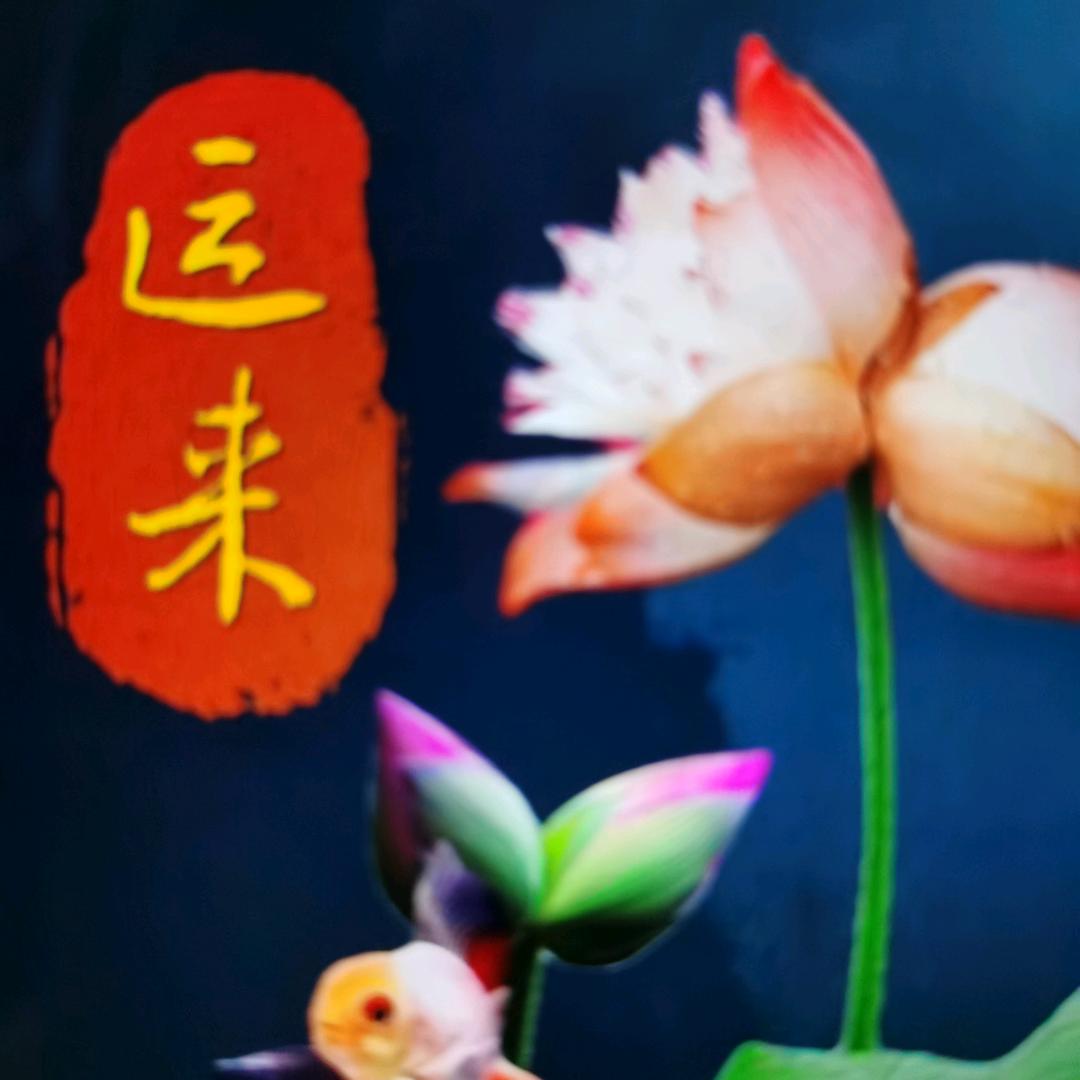 用户（美好人生）