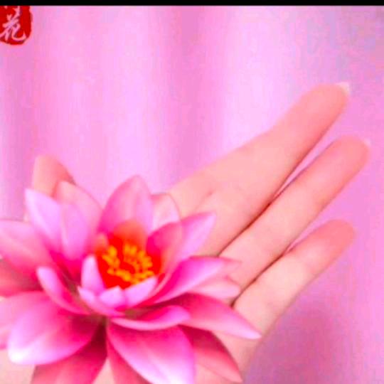 遇见n