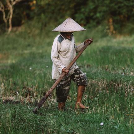 农民兄弟