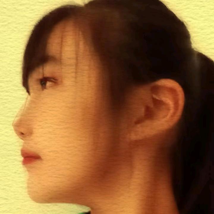 鸽子