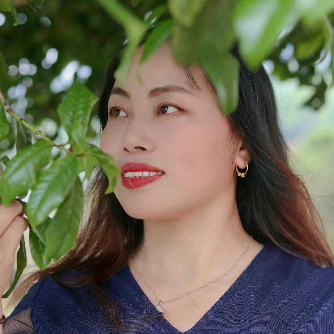 真爱永恒（莉）正宗高山安福金兰柚