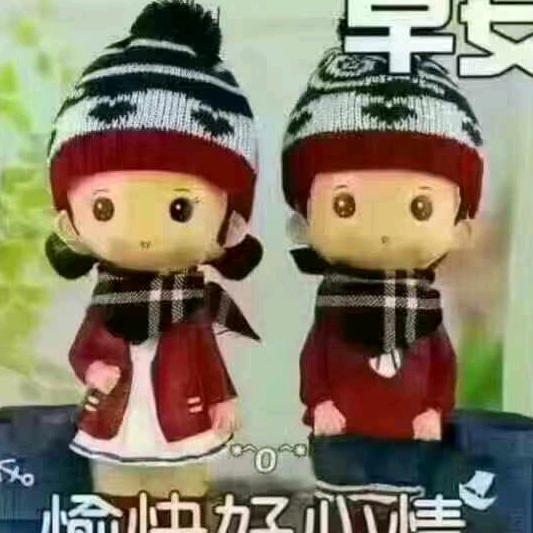 宝乐鲜花
