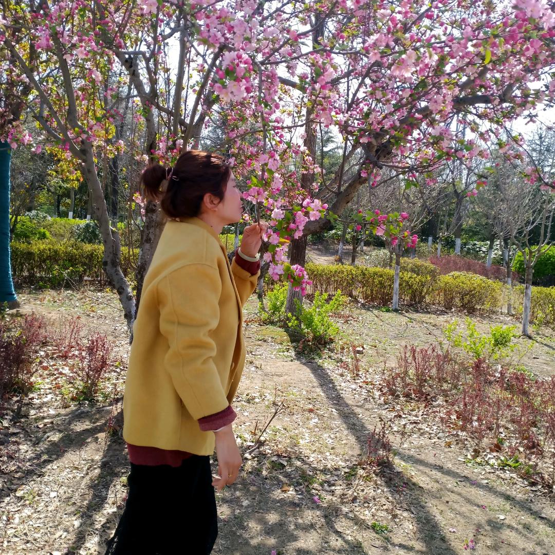 春暖花香