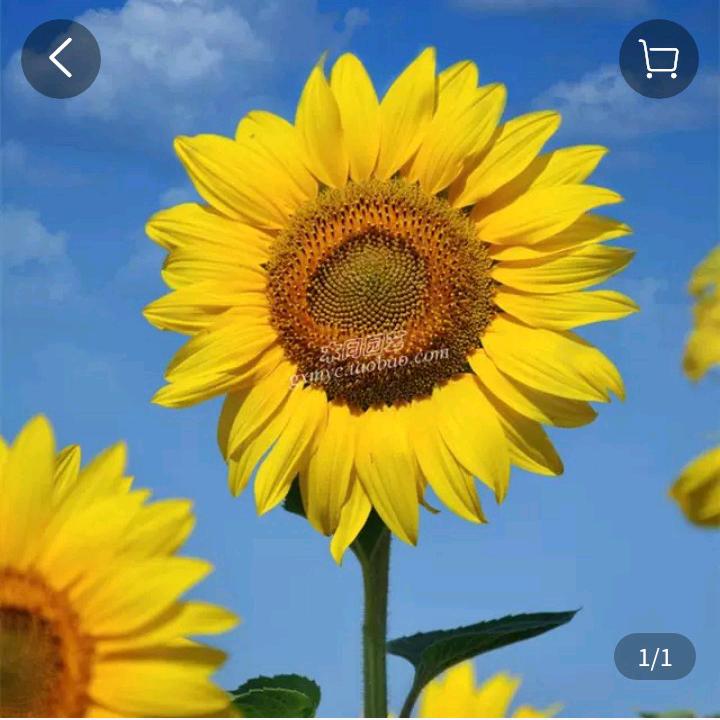 (●'◡'●)家和万事兴*