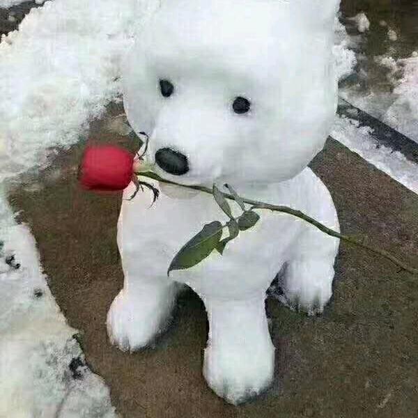 欣欣向荣❤️❤️