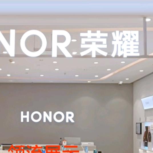 🍂秋风中的银杏🍂