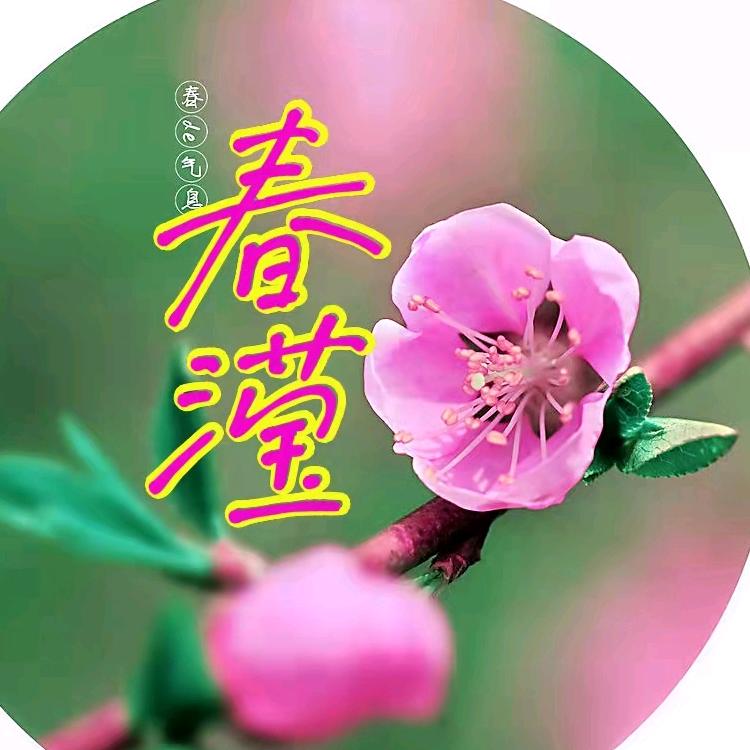 慈溪市胜山春滢布行