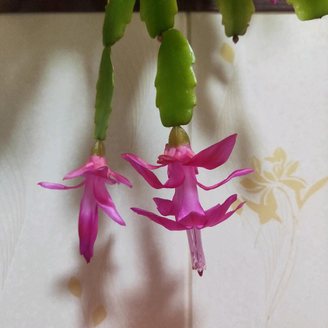 私人订制
