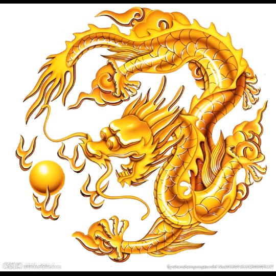 金龙如意