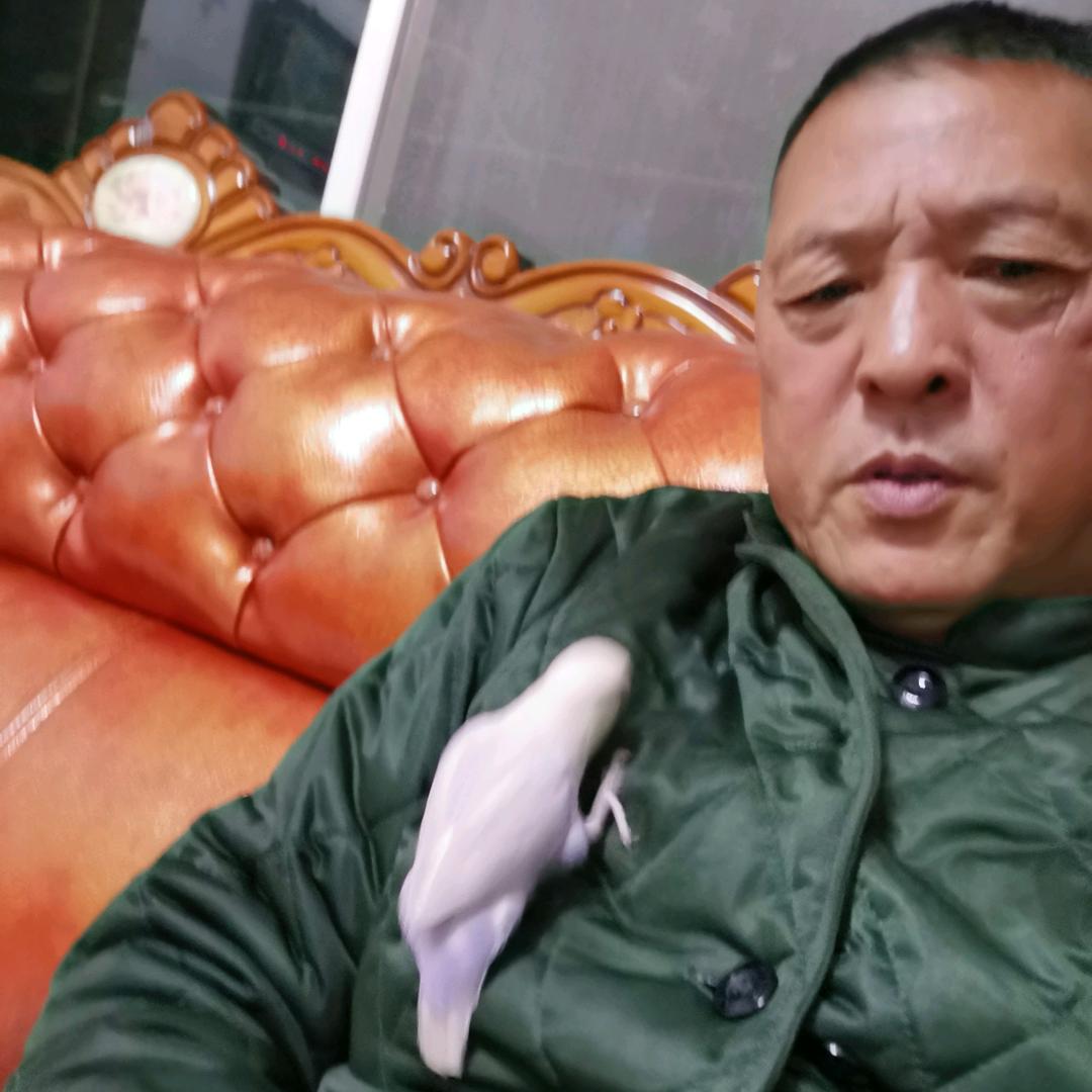 陈闹