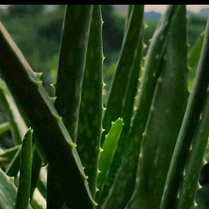 用户9632781223548诚信