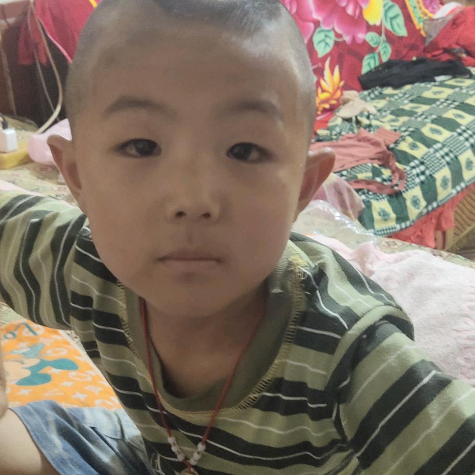 新区发哥