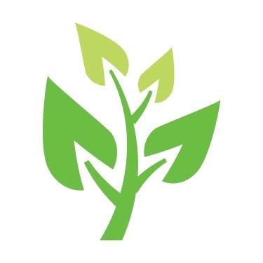 江苏泰之林种业