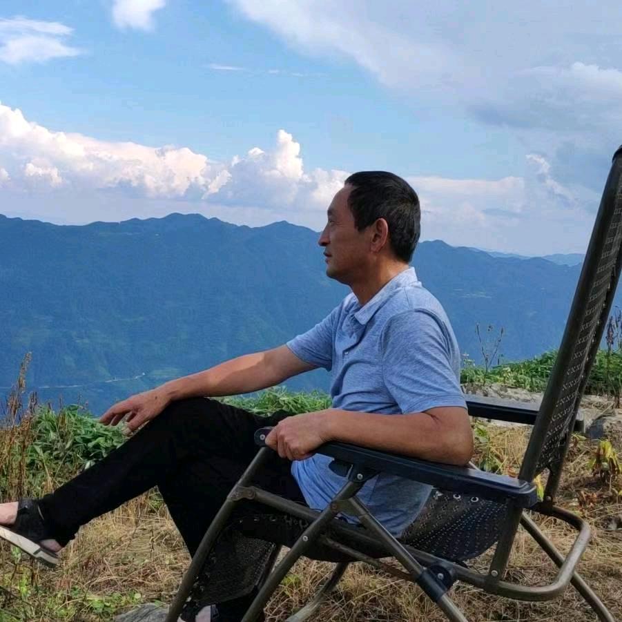秦哥