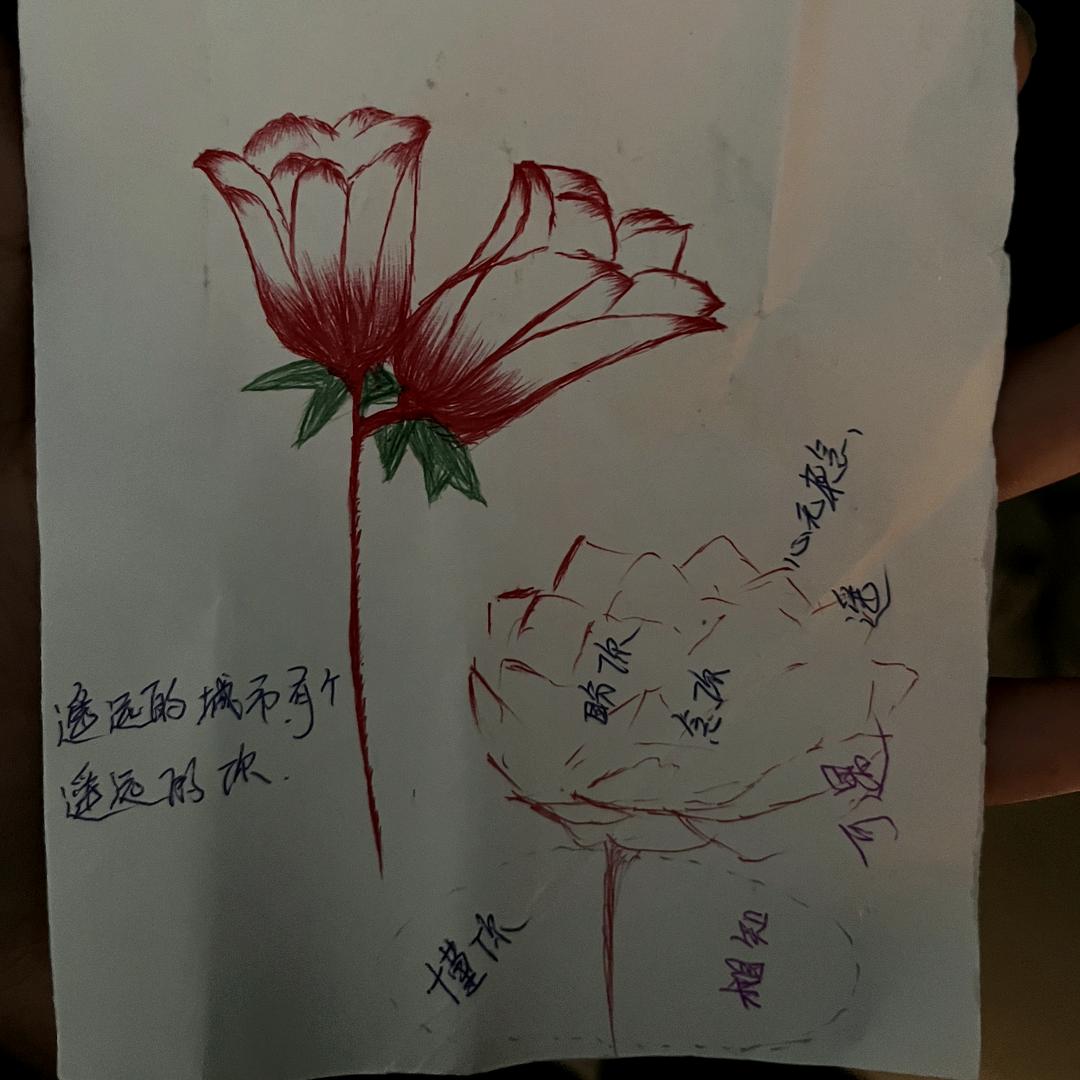 时光与路人