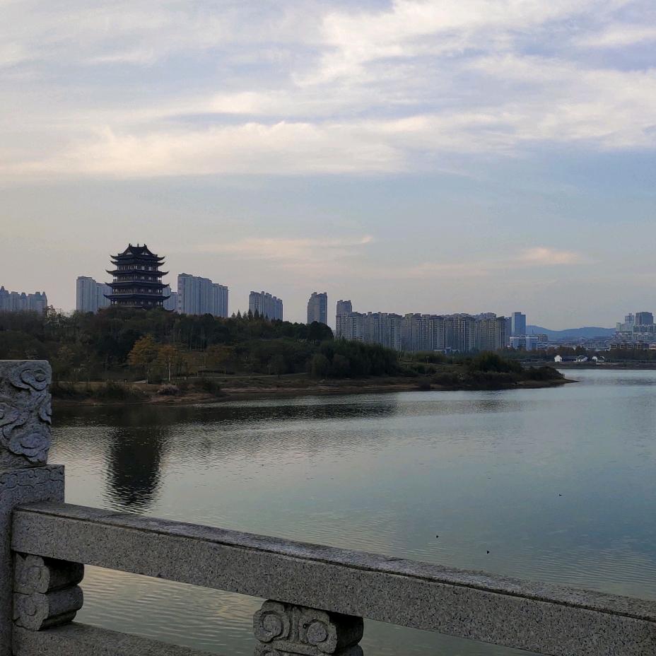 宣城叉车证 ABCD照，冯(银河驾校内