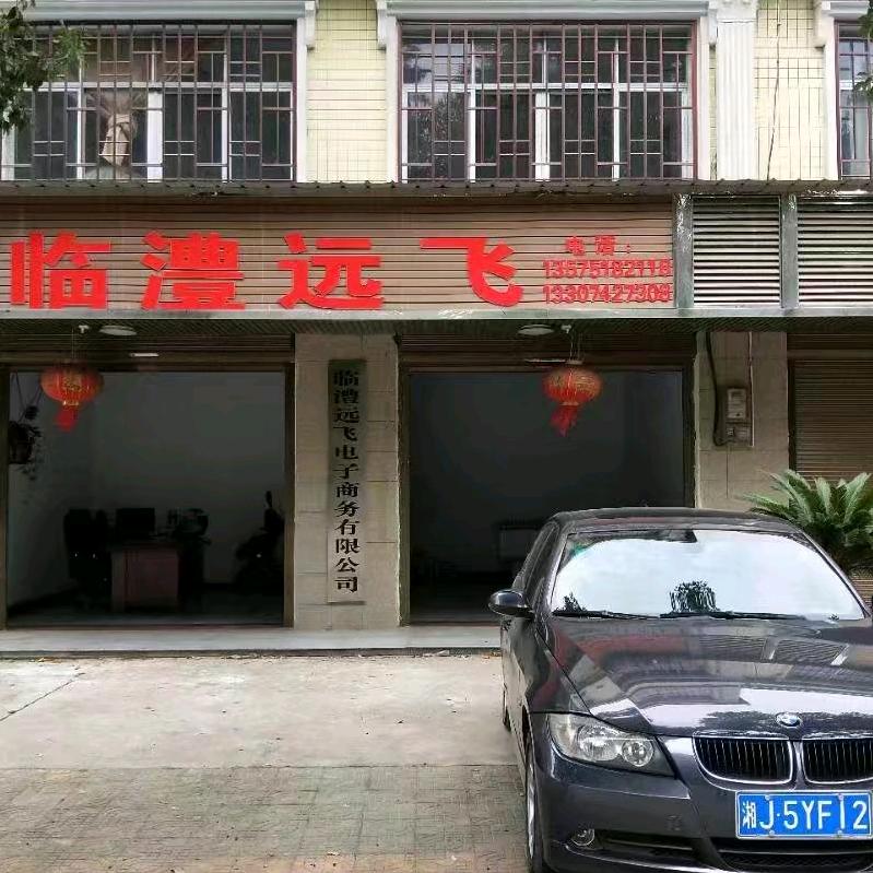 临澧远飞电子商务有限公司
