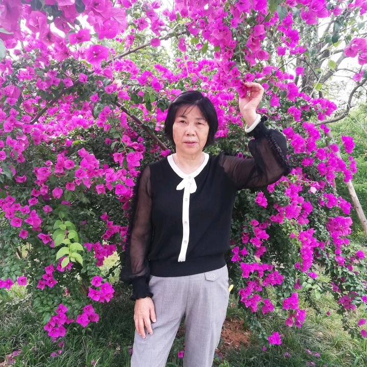 李氏家族