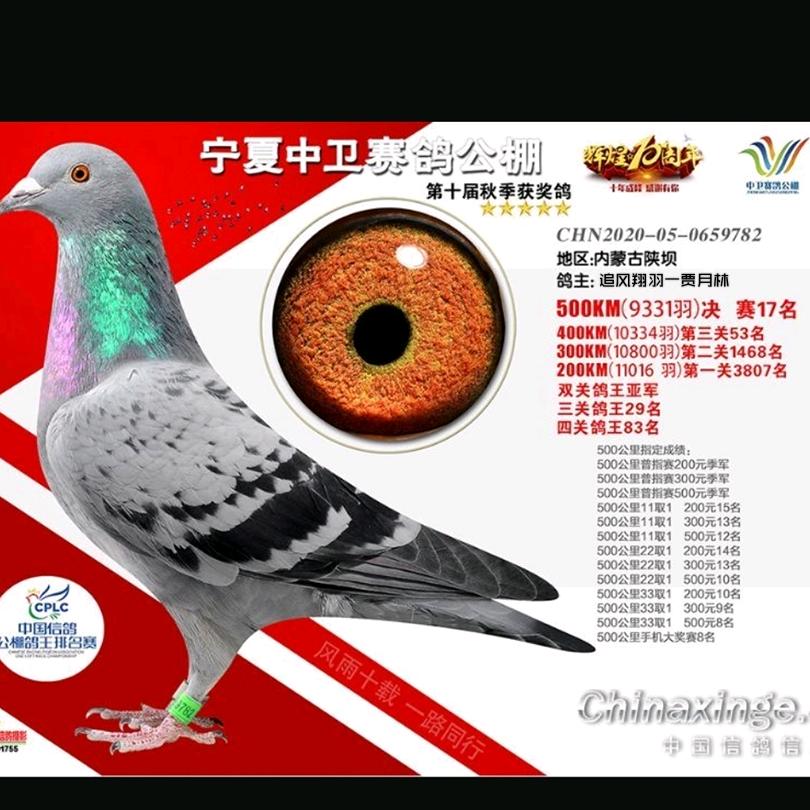 用户追风翔羽~贾月林950626