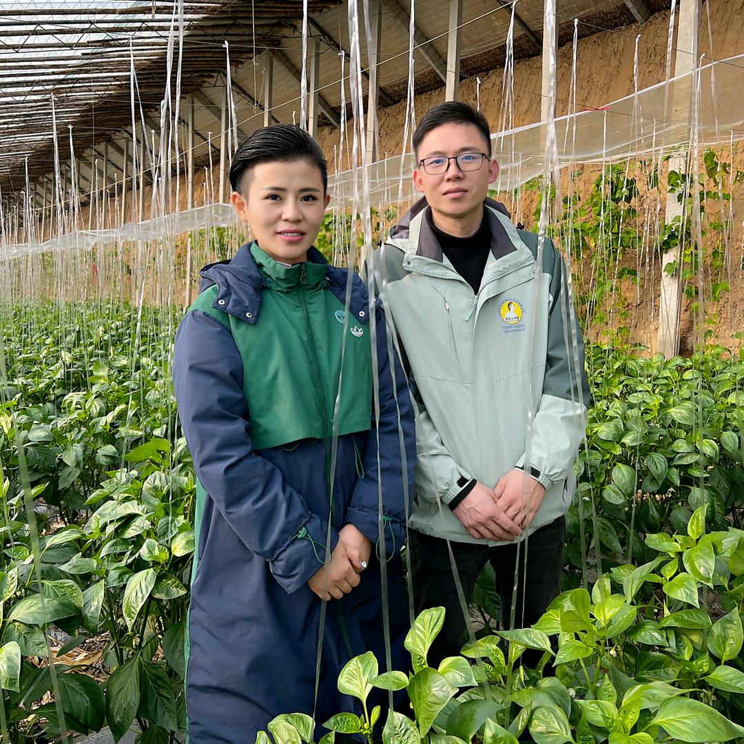 章丘区新农人冲姐农业黄河办事处