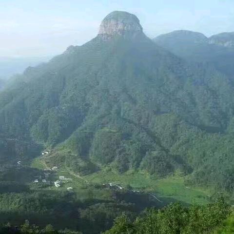 江西杨氏传承