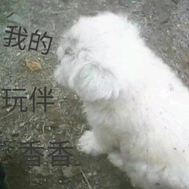 微笑默然消失