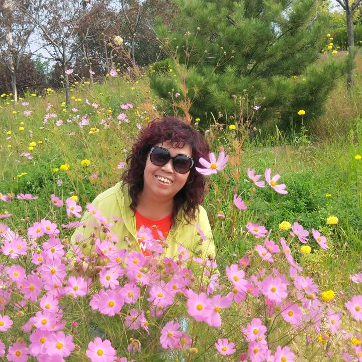 秀枝一梅🌺