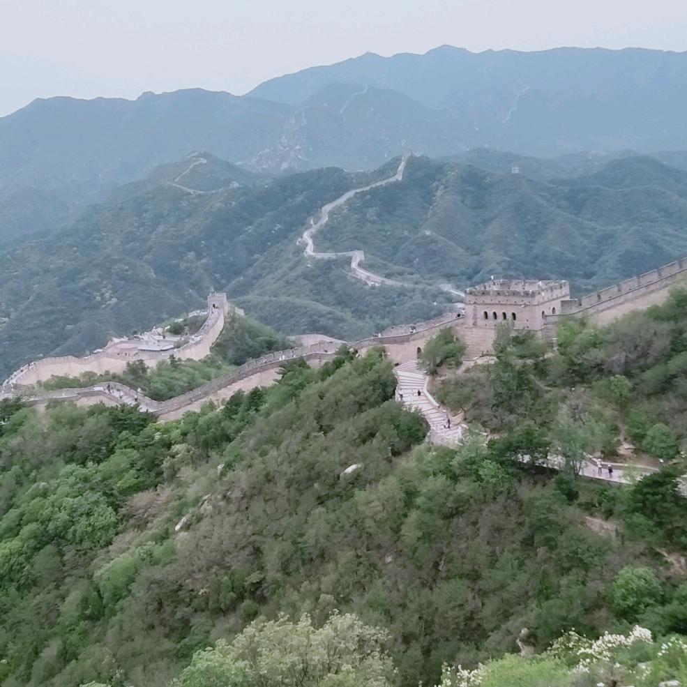 清风卍
