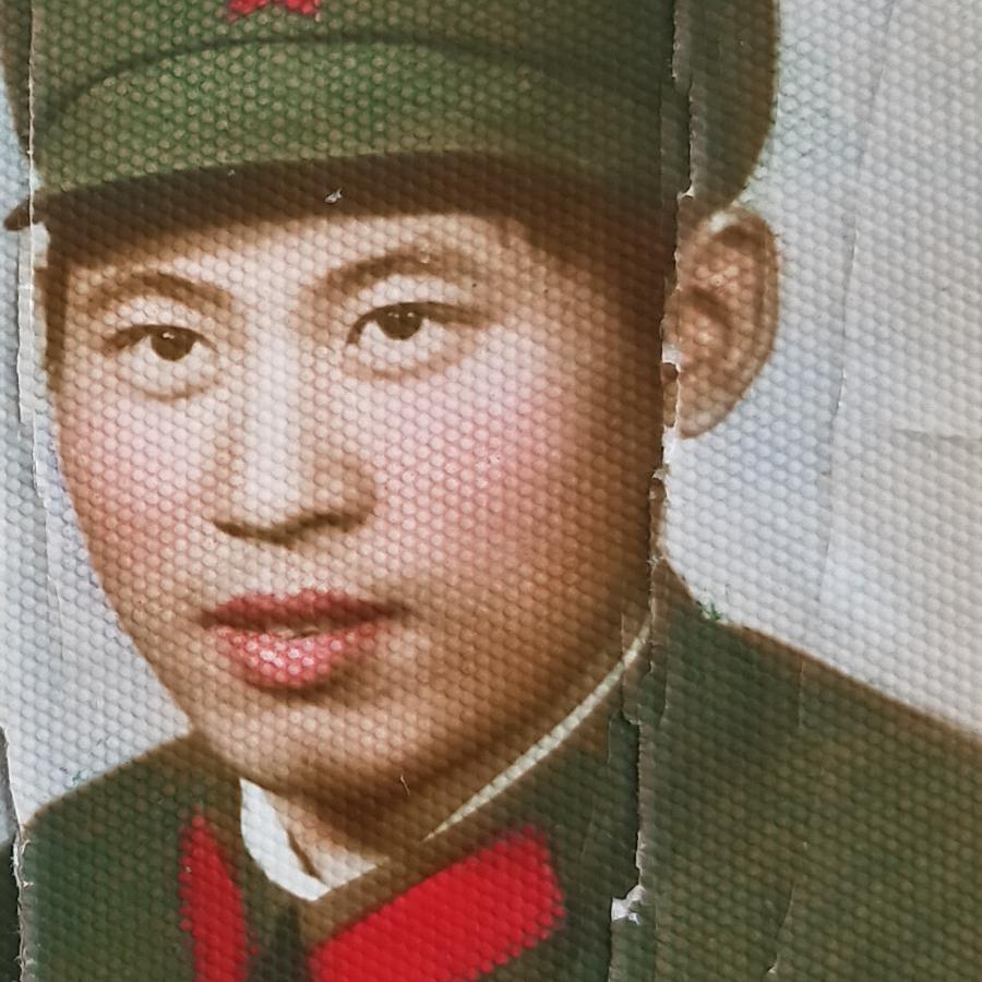 枫树：《尘客》