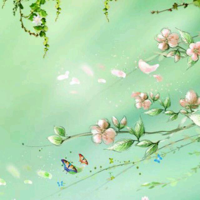 满船清梦压星河(花)